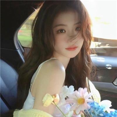 间谍兔洞第一季